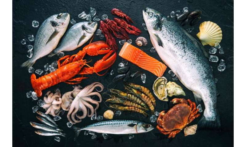 How much fish do we consume? First global seafood consumption footprint published
