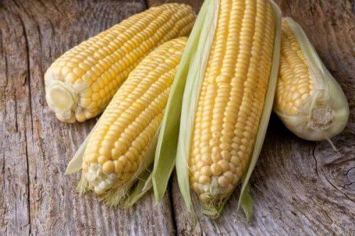 Вареная кукуруза польза. Вареная кукуруза: польза и вред для здоровья