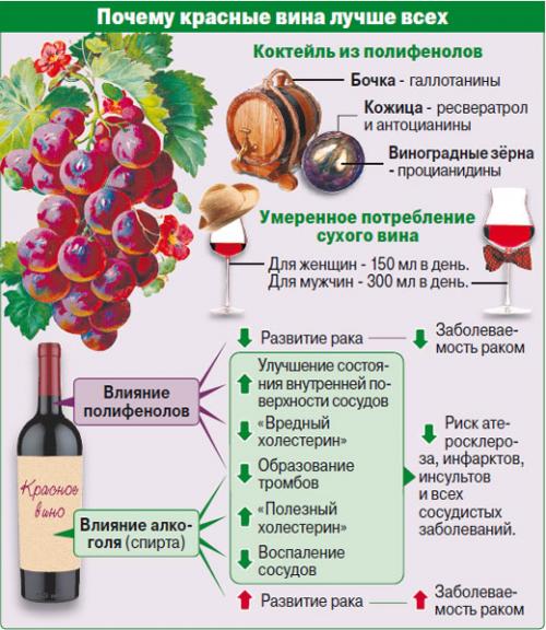 Какое вино самое полезное для здоровья. Какое вино полезнее – белое или красное?