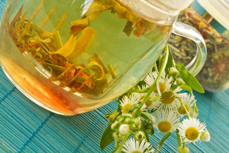 Как правильно заваривать и пить травяные чаи и сборы?