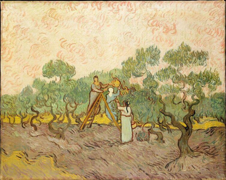Винсент Ван Гог, «Сбор оливок», 1889 г.