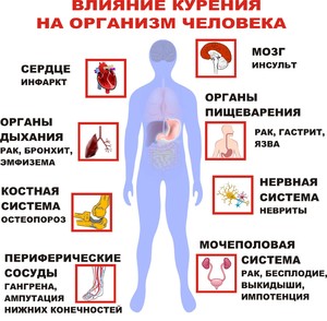 Как влияет табак на органы человека