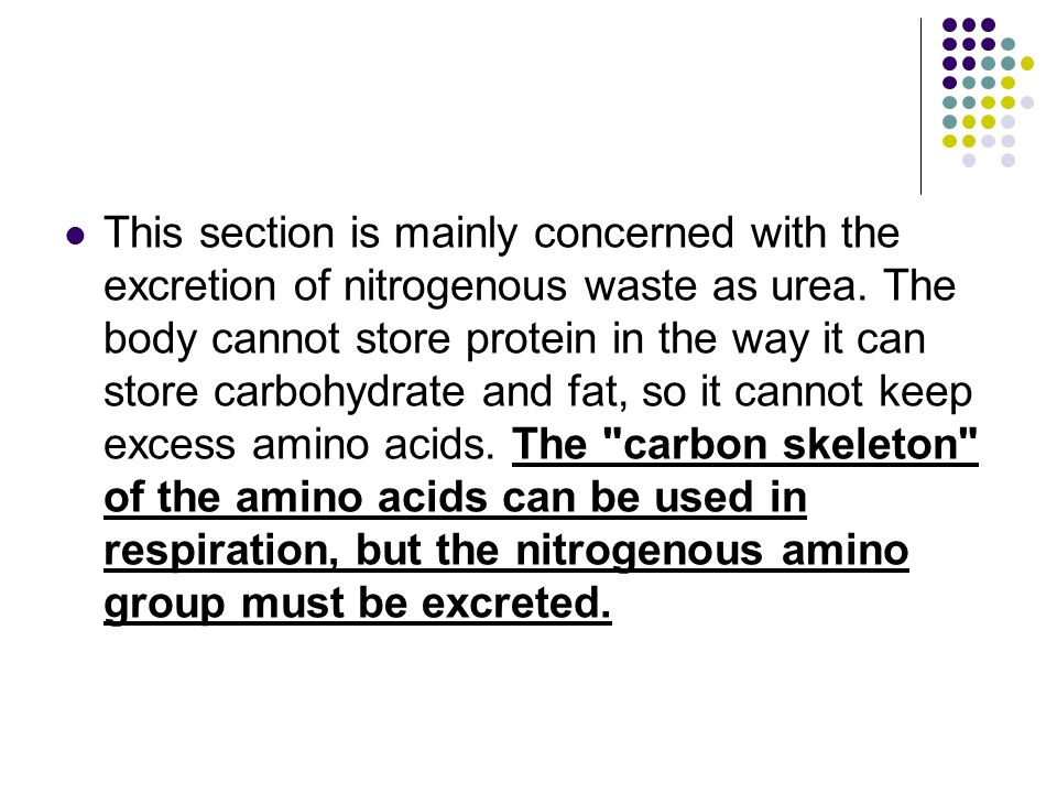 This section is mainly concerned with the excretion of nitrogenous waste as urea.