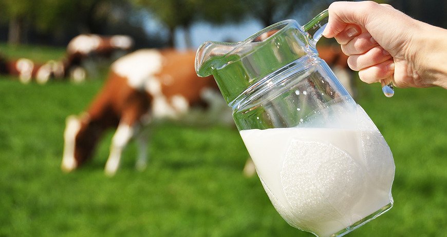польза пастеризованного молока