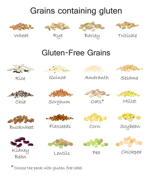 A variety of gluten free and containing gluten grains. Wheat, barley, oats, rye, buckwheat, amaranth, rice, millet, sorghum, quinoa, chia seeds, flax seeds, sesame, oatmeal, legumes. Vector isolated Stock Illustration