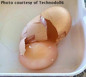  An egg within another egg occurs when an egg that is almost ready to be laid reverses engines into the reproductive tract, meeting up with another egg-in-progress.
