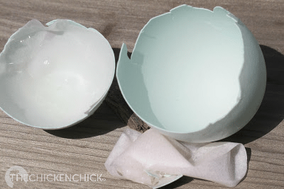 Blue eggshells are produced by the pigment oocyanin, (a by-product of bile formation). The color is applied early in the shell