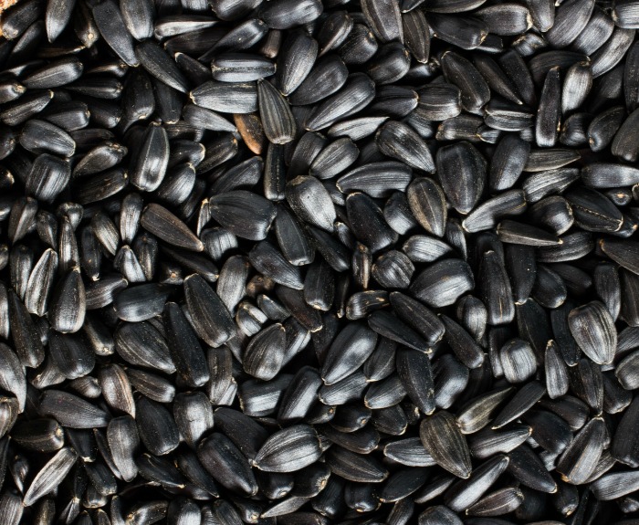 black Sunflower seeds