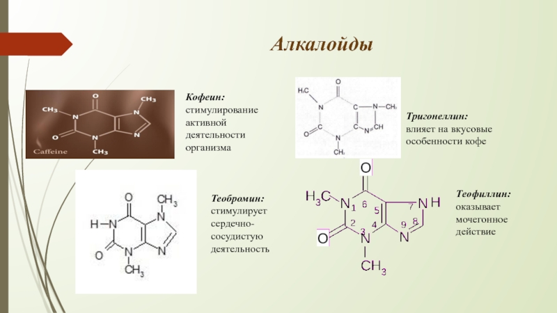 Кофеин форум. Тригонеллин алкалоид. Тригонеллин химическая формула. Кофеин теофиллин теобромин. Тригонеллин структурная формула.