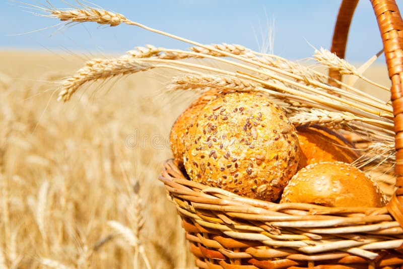 Basket with bread in a wheat field stock images
