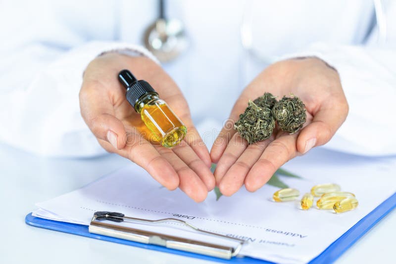 A bottle of CBD oil and cannabis in the hands of a doctor or researcher. A medical team or researcher. The concept of CBD hemp oil stock photography