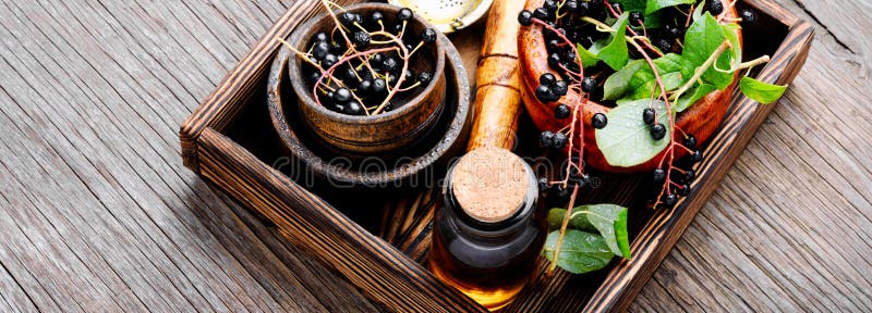 Branch with berries of bird cherry. Bird-cherry with green leaves and medicinal tincture.Healing herbs stock images
