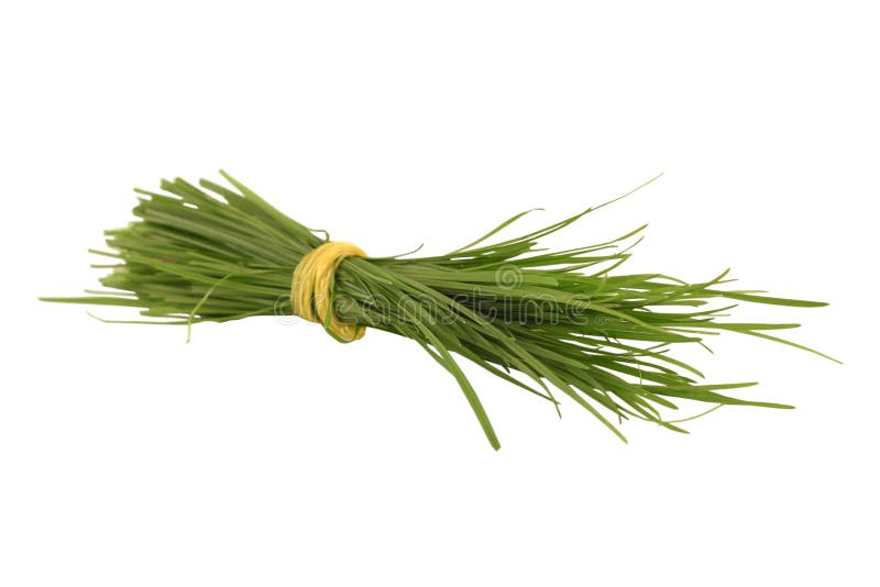 Bunch of a grass stock photography