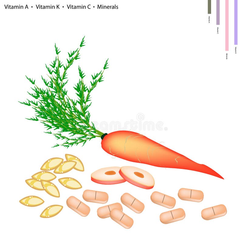 Carrot with Vitamin A, K, C and Minerals. Healthcare Concept, Illustration of Carrot with Vitamin A, Vitamin K, Vitamin C and Minerals Tablet, Essential Nutrient vector illustration