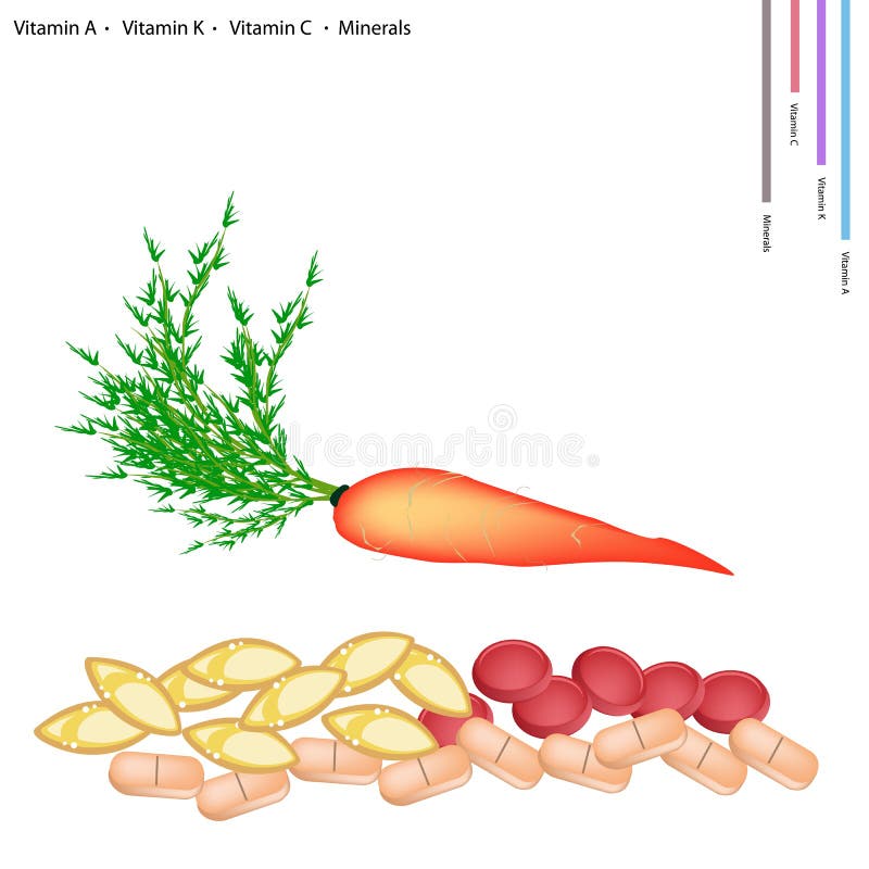 Carrot with Vitamin A, K, C and Minerals. Healthcare Concept, Illustration of Carrot with Vitamin A, Vitamin K, Vitamin C and Minerals Tablet, Essential Nutrient royalty free illustration
