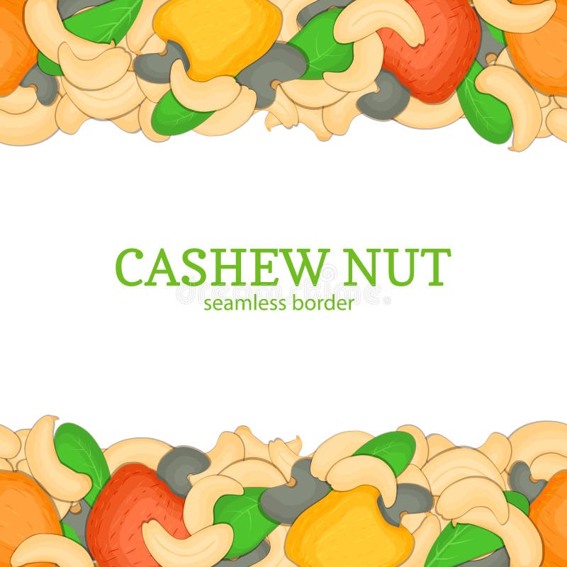 Cashew Horizontal seamless border. Vector illustration card top and bottom of a delicious nut fruit in the shell whole. Cashew Horizontal seamless border. Vector stock illustration