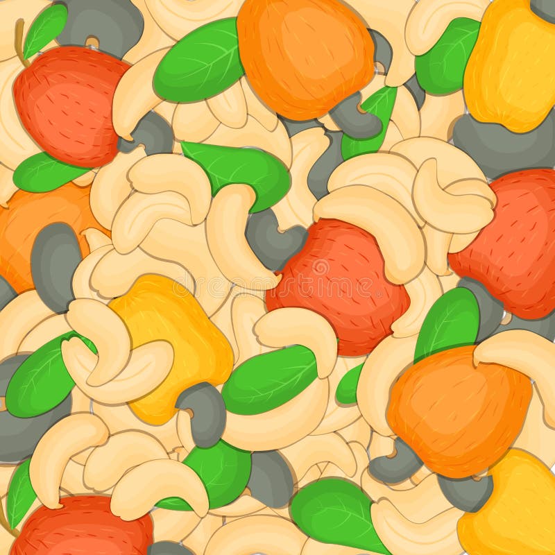The cashew nut background Closely spaced delicious vector illustration Nuts pattern walnut fruit in the shell whole. The cashew nut background Closely spaced vector illustration
