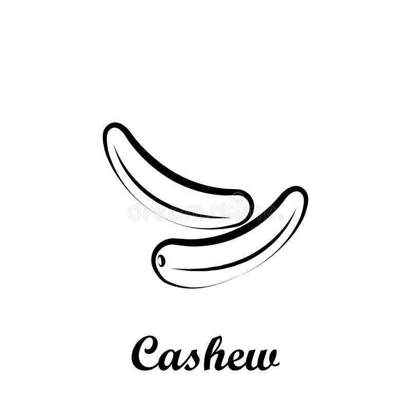 Crustaceans, fruit, cashew icon. Element of Crustaceans icon. Hand drawn icon for website design and development, app development. Premium icon on white vector illustration