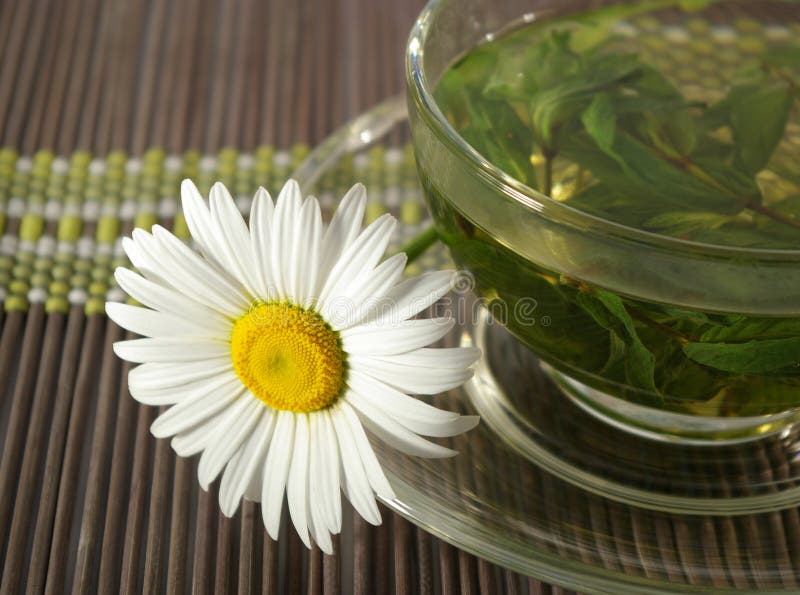 Cup of herbal tea and chamomile stock images