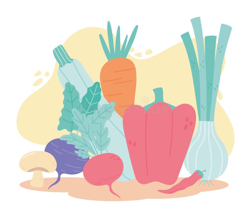 Food healthy nutrition vitamin fresh organic pepper mushroom carrot radish. Vector illustration vector illustration