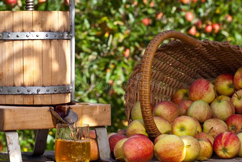Freshly squeezed Apple Juice royalty free stock photos