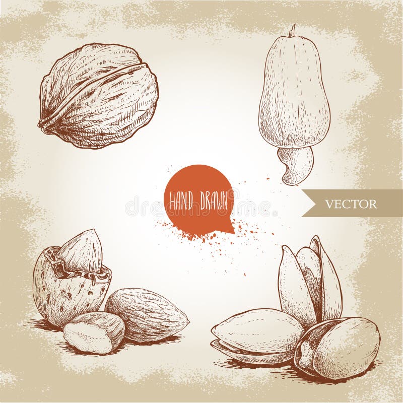 Hand drawn sketch style nuts set. Walnut, cashew fruit, almonds and pistachios. Collection of healthy natural food. Vector illustr. Ations isolated on old stock illustration