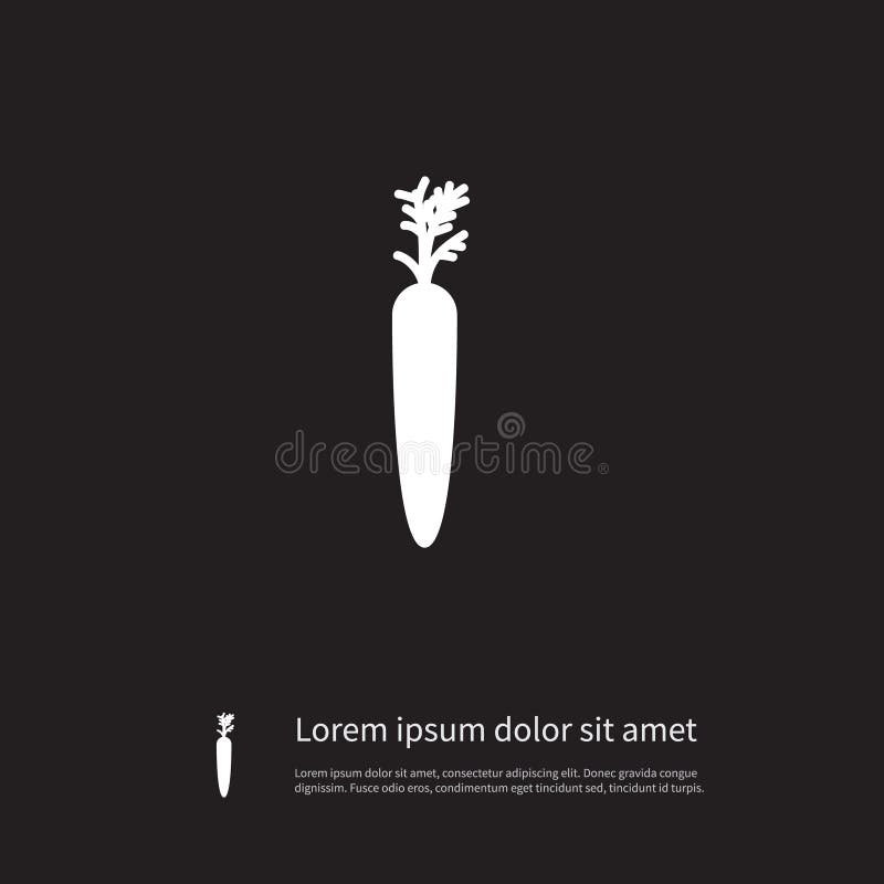 Isolated Root Icon. Vitamin Vector Element Can Be Used For Root, Carrot, Orange Design Concept. Vitamin Vector Element Can Be Used For Root, Carrot, Orange stock illustration