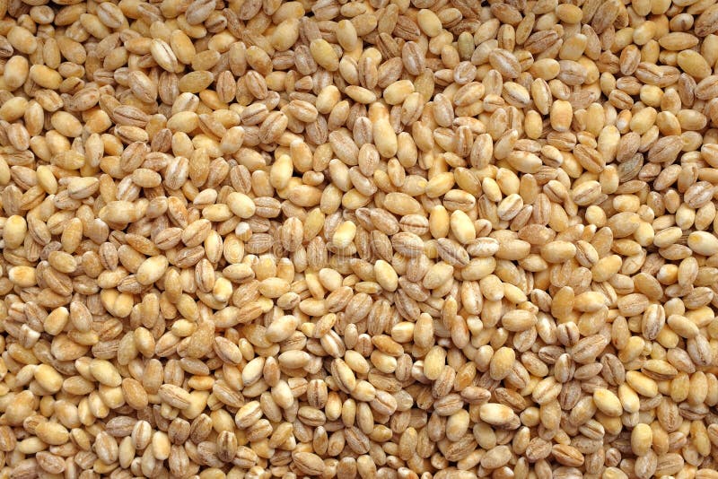 Pearl barley background stock image