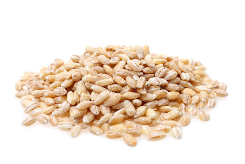 Pearl barley stock image