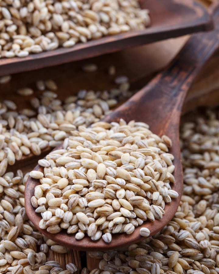 The pearl barley royalty free stock images