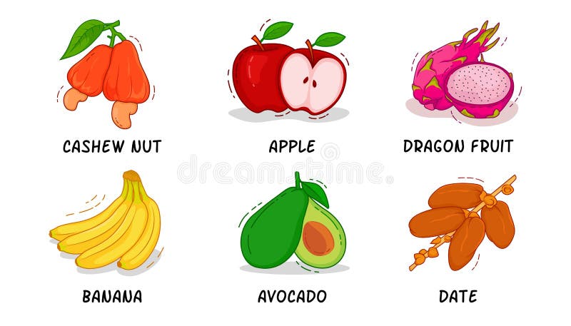 Fruits, Fruits Collection, Cashew Nut, Apple, Dragon Fruit, Banana, Avocado, Date. There are six fruits Vector here, Cashew Nut, Apple, Dragon Fruit, Banana vector illustration
