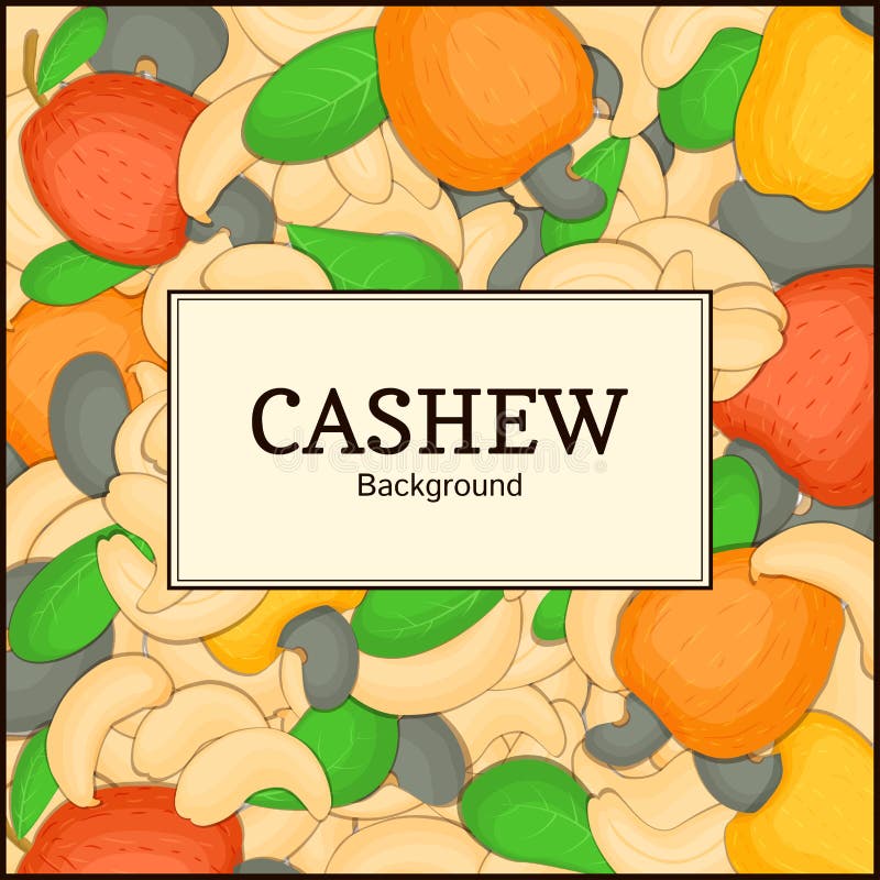 The rectangular frame on cashew nut background. Vector card illustration. Nuts , fruit in the shell, whole, shelled. The rectangular frame on cashew nut stock illustration