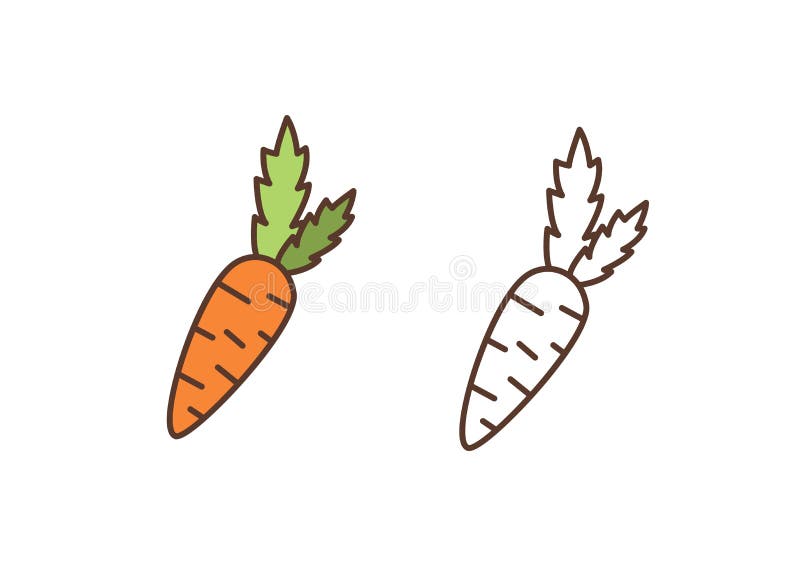Ripe carrot linear vector icon. Raw organic food, natural farm vegetable outline illustration. Delicious vitamin juice. Ingredient isolated on white background stock illustration