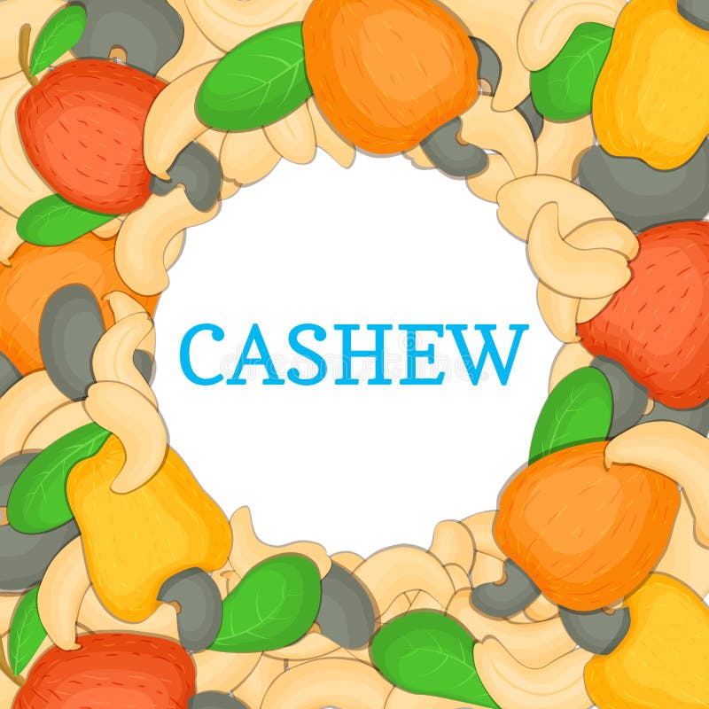 Round colored frame composed of cashew. Vector card illustration. Circle Nuts , fruit in the shell, whole, shelled. Round colored frame composed of cashew vector illustration