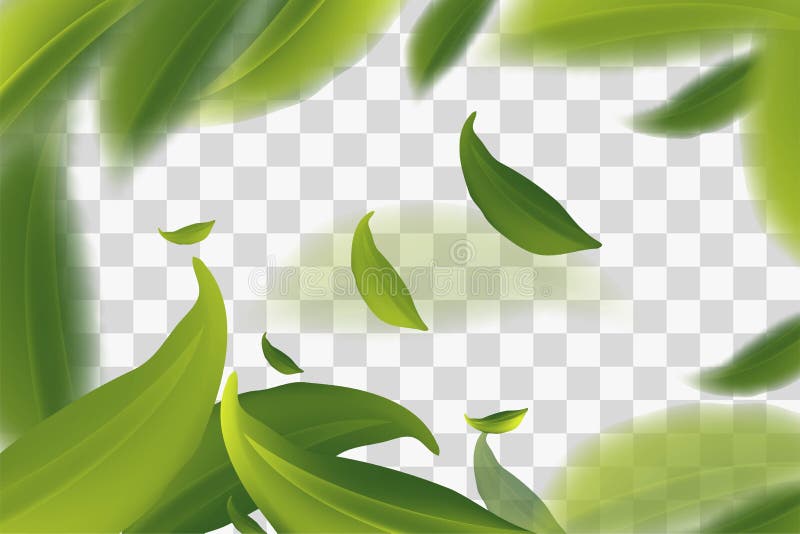Vector 3d illustration with green tea leaves in motion on a transparent background. Element for design, advertising, packaging of royalty free illustration