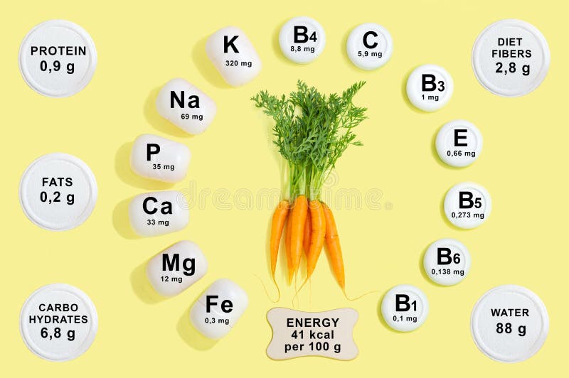 Vitamin and mineral composition in carrot. Information about nutrients. Useful properties of carrot. Main vitamins and minerals in healthy diet. Concept of royalty free stock image
