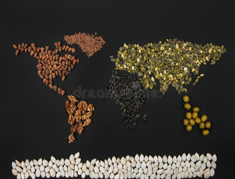 World map from different seed: stock photo
