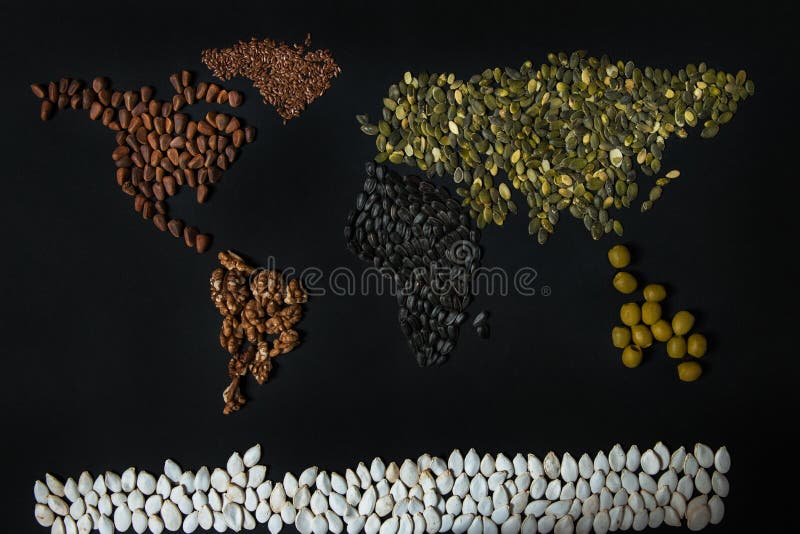 World map from different seed: royalty free stock photography
