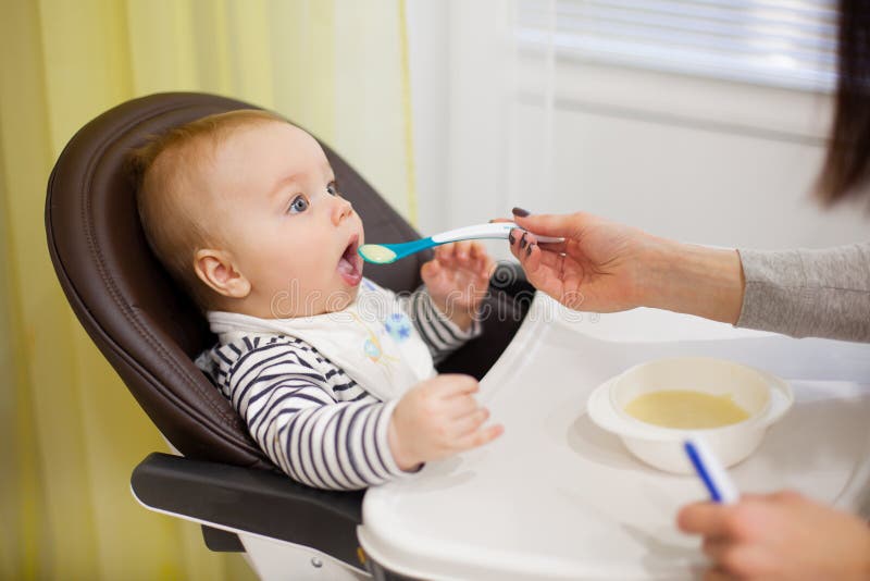 Young mother feeding her little baby son with porridge,who sitting in high baby chair for feeding stock photo