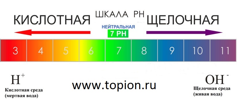 шкала pH (водородный показатель)