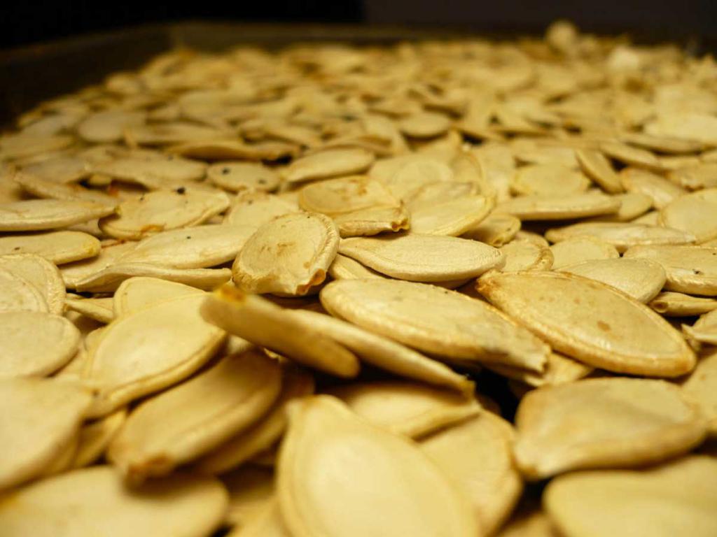 pumpkin seeds benefits and harms of the calorie content