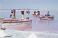 Salt Pans of Tamilnadu.jpg