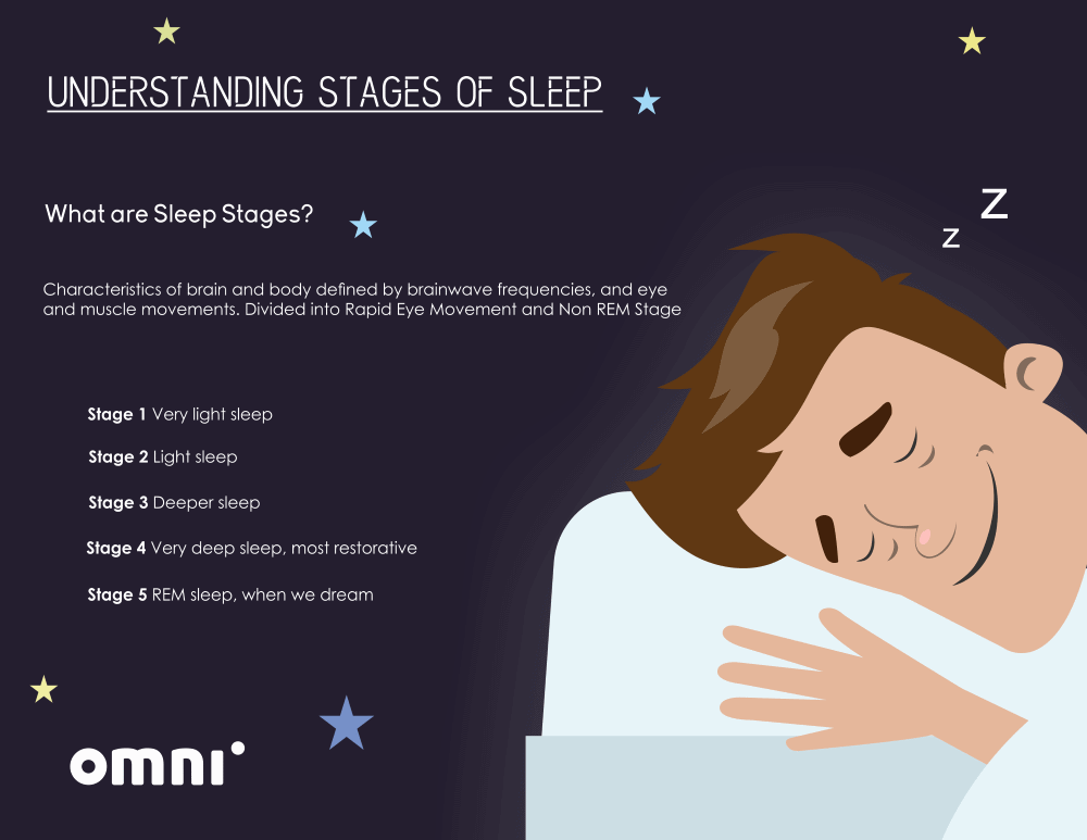 image with definition of sleep stages