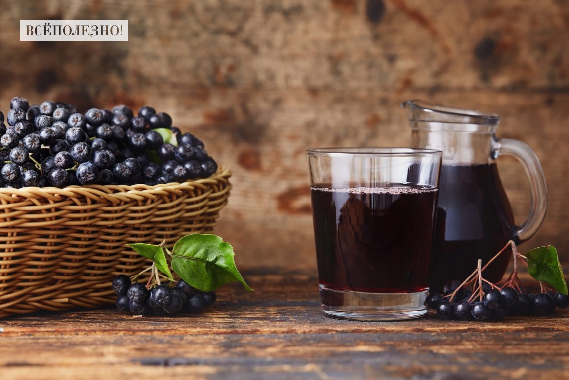 Полезен ли сок черноплодной рябины