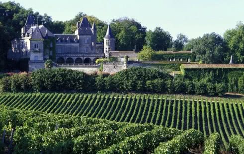 Французское красное вино: история коротко и как пить