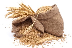 Каша из пшеницы цельной польза и вред