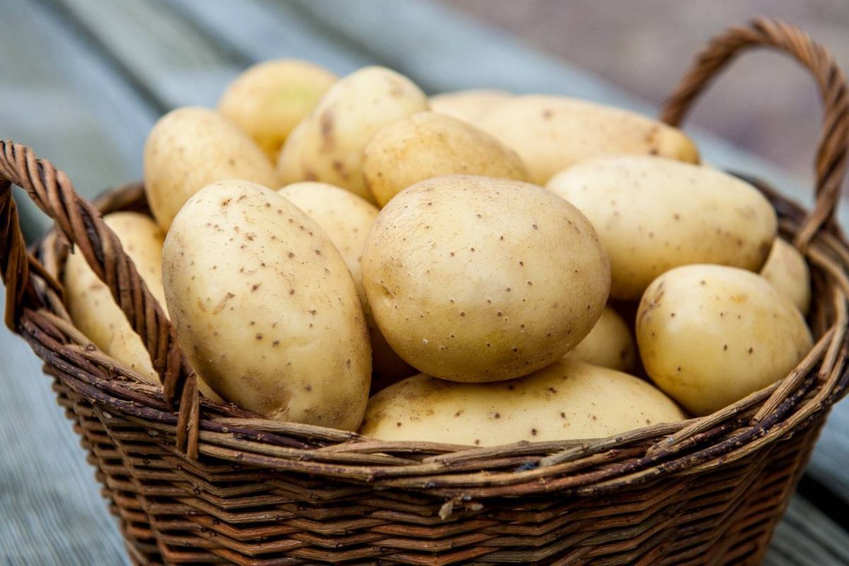 Жареная картошка польза и вред для организма