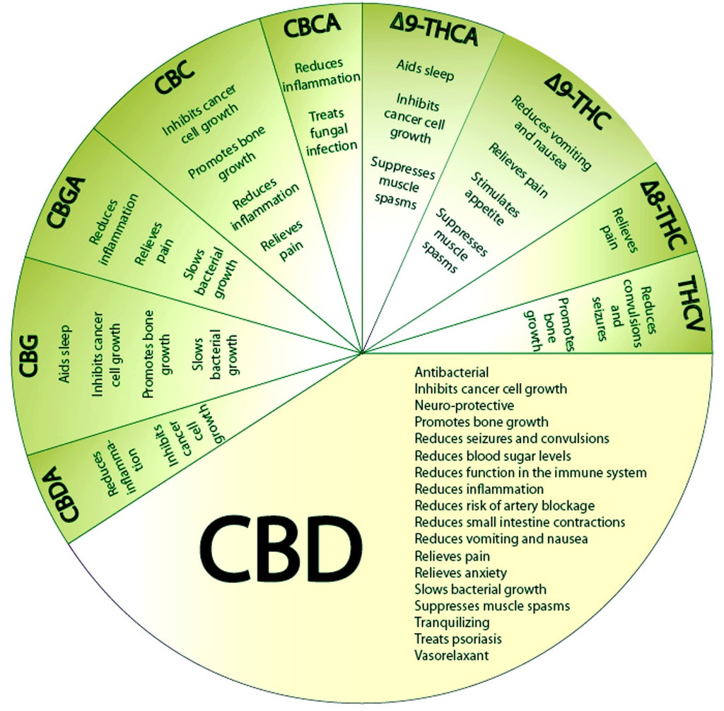 CBD, the cannabinoid with the most therapeutical properties