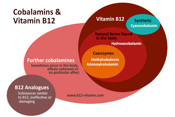 vitamin-b12-forms