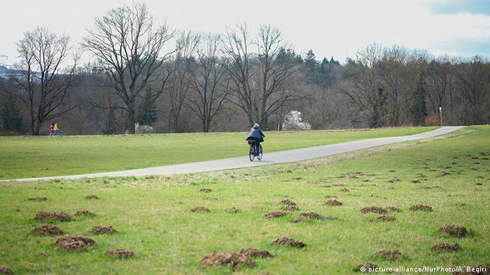Person riding a bike through a park